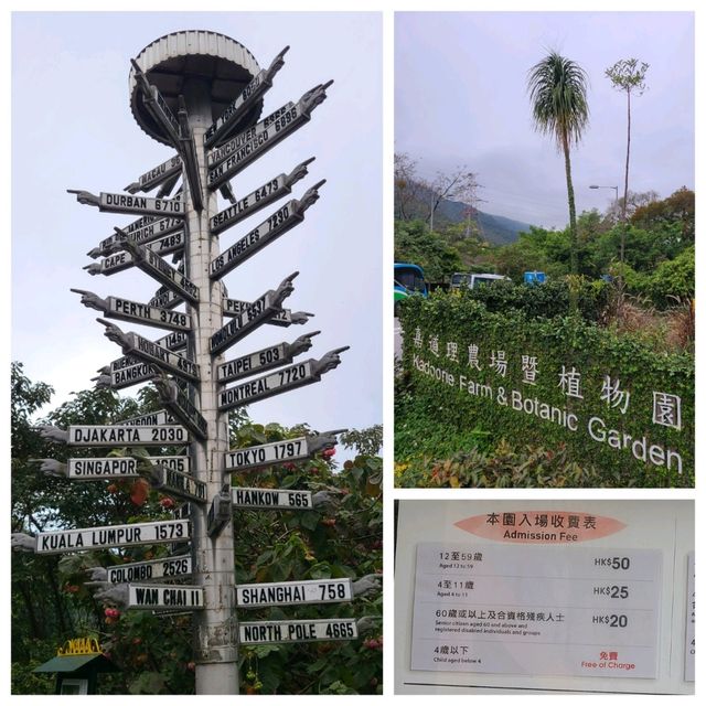 情侶賞花🌺好去處：嘉道理農場🤗