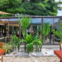 รีวิวIVORY Coast Almond - Homemade Café & Dining 