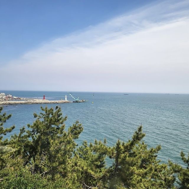 부산 블루라인파크