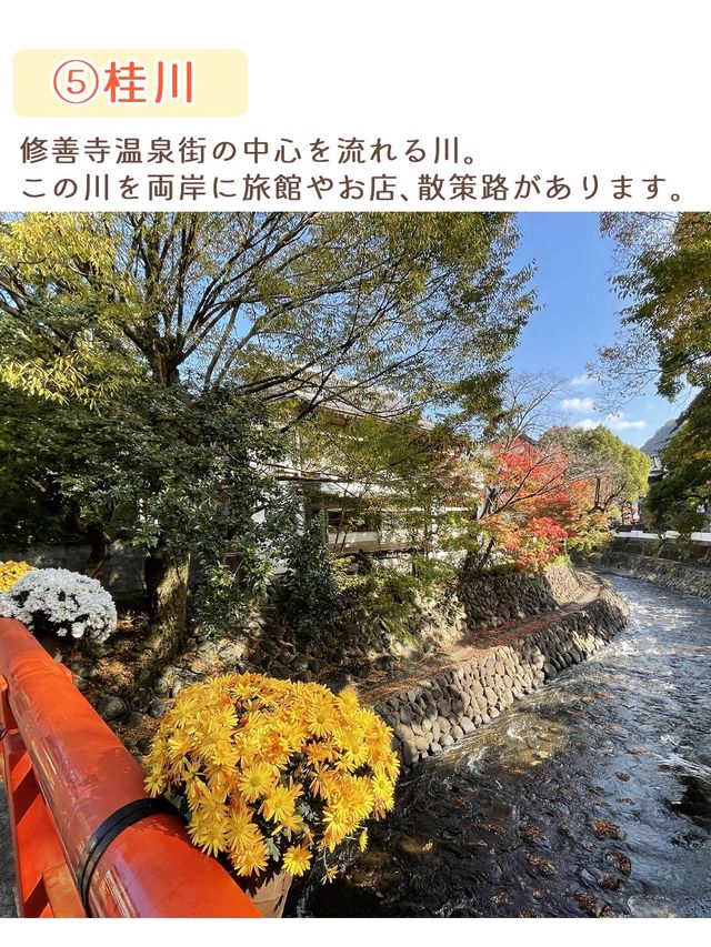 【静岡】修善寺温泉街の観光スポット7選