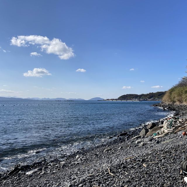 🇯🇵福岡糟屋新宮相島 超萌貓貓絕美景色🐈