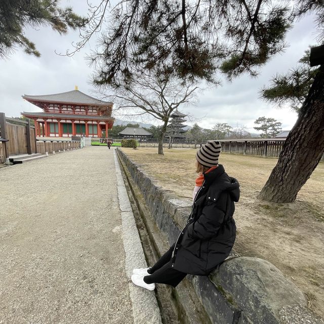 即將維修的興福寺五重塔