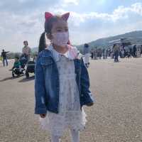 Gyeryong World  Military Expo 
