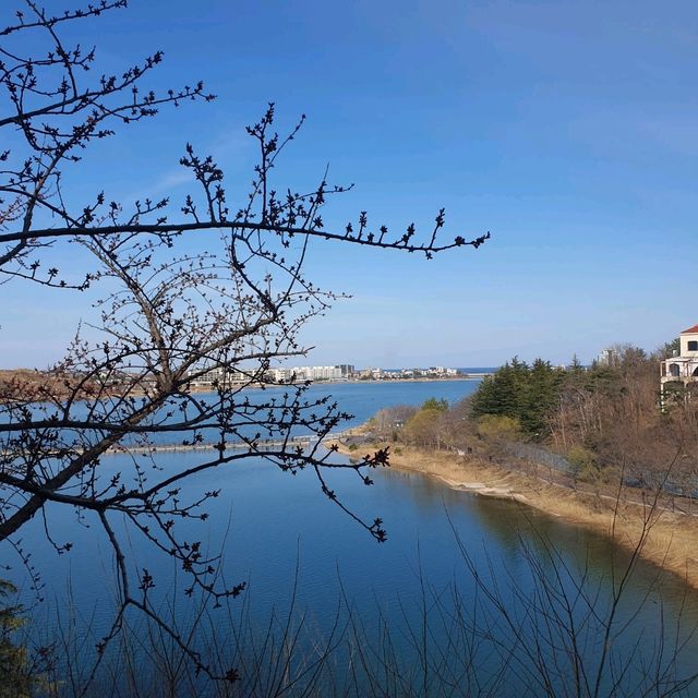 【韓国地方旅】束草の観光名所「永朗湖上の道」へ。