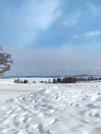 최고 설경을 패치워크 로드에서.. ❄️