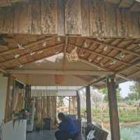 หลบร้อน​ มาผ่อนคลายที่ฟาร์มคาเฟ่​ บุรีรัมย์