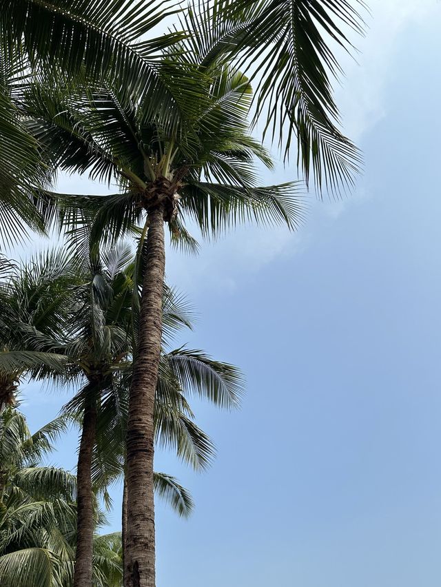 หาดจอมเทียน พัทยา 🏖️
