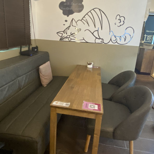 大埔大尾篤chill petcafe