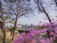 韓國世界遺產之一🇰🇷昌德宮