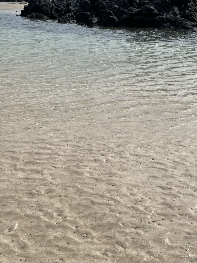 한적하고 매력적인 제주 표선해수욕장🏝️