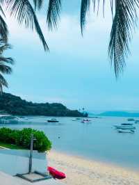 • CELES SAMUI🏝️ 🗺️