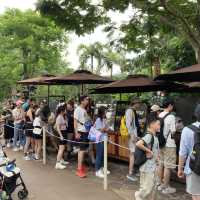 香港迪士尼樂園