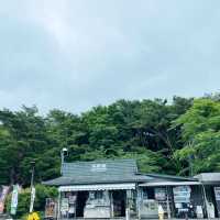 【ペットとお出かけ】本栖湖をぶらりお散歩！