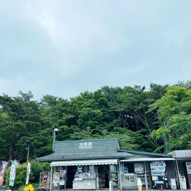 【ペットとお出かけ】本栖湖をぶらりお散歩！