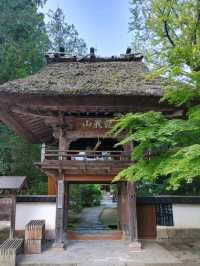 湯布院のおすすめ観光•グルメスポット