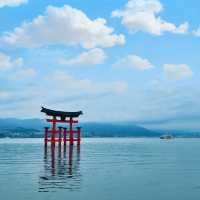 【世界遺産巡り】70年ぶりの大改修を終えた大鳥居を島内泊で堪能！