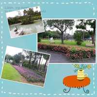 台北車站公園游🌹🥰