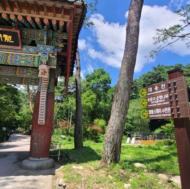 녹음이 우거진 숲길 물소리 들으며 원주 용문사에서 즐거운 오후