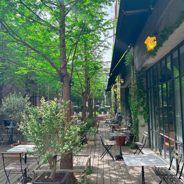 강릉의 핫플카페 테라로사