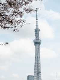 Tokyo Skytree ในมุมมองที่แตกต่างระหว่างการเดินเท้า