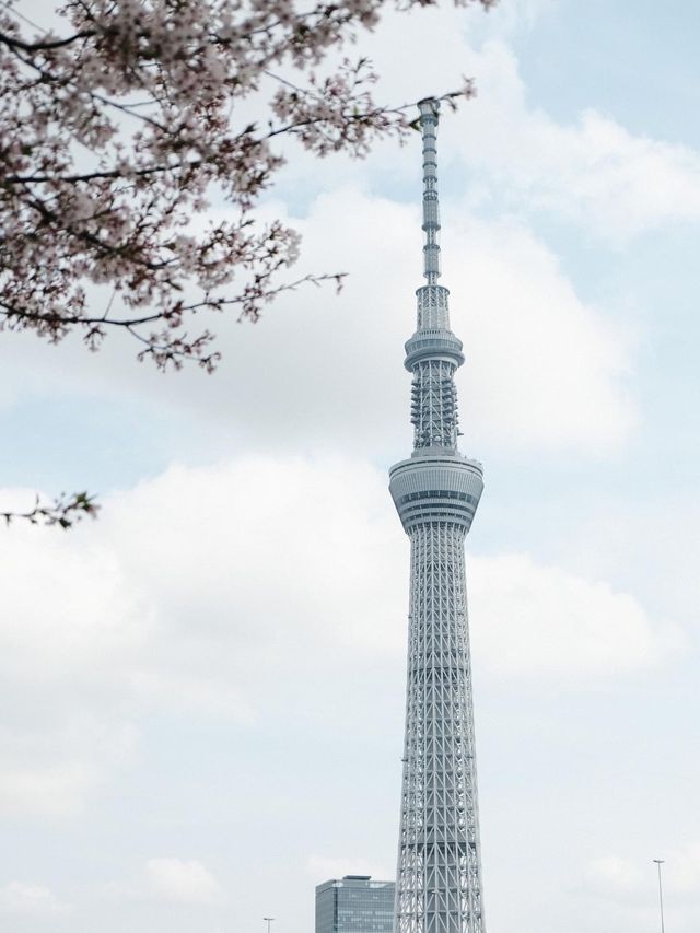 Tokyo Skytree ในมุมมองที่แตกต่างระหว่างการเดินเท้า