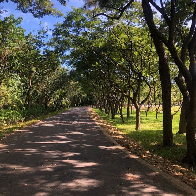 碉堡廣場