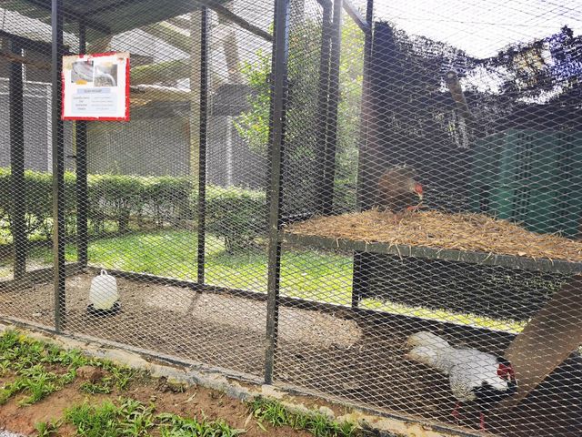 Malacca Bird Park ✨