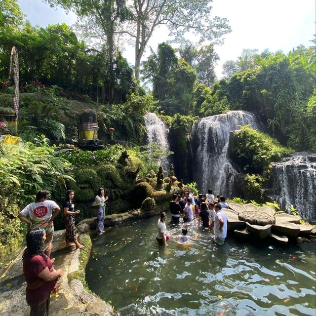 waterfall experience 