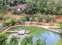 Refresh Your Mind at Fresh Garden
