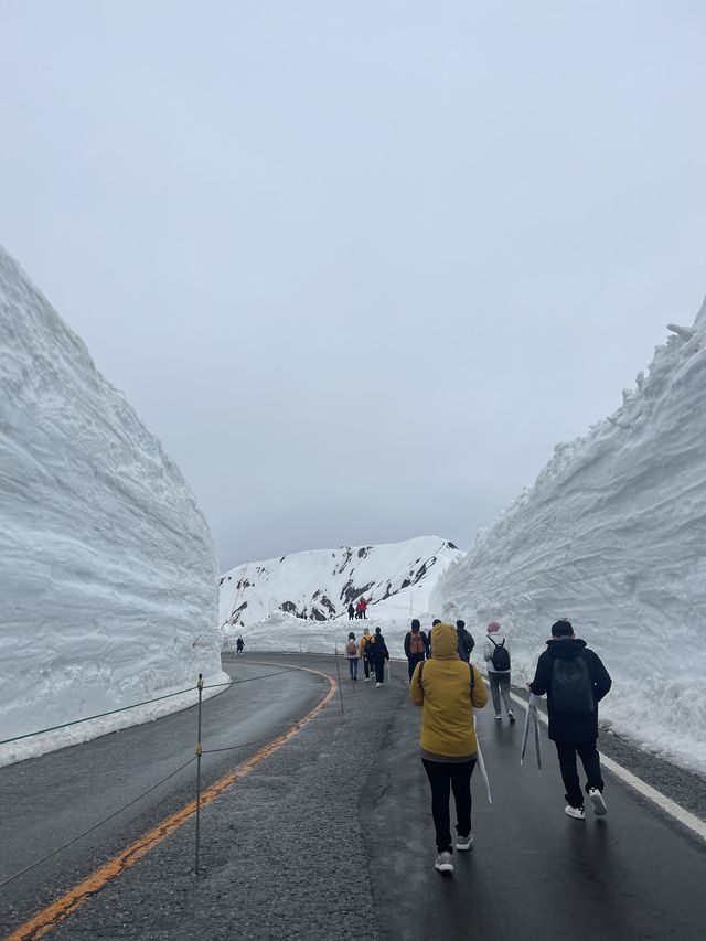 Japan Alps🇯🇵🗻