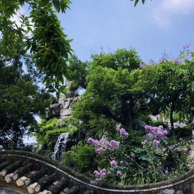 🏯🌸 禪意園林美境～清暉園博物館🍃🎋