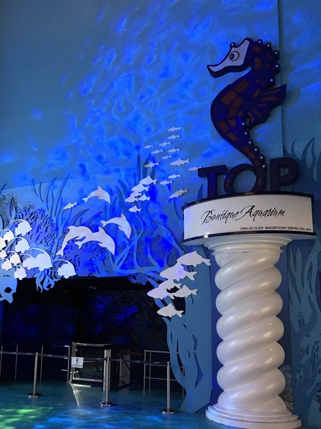 Discover Family Boutique Aquarium in Penang