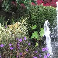 The Gardens of Panyu