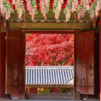 Beautiful autumn view of Bulguksa Temple