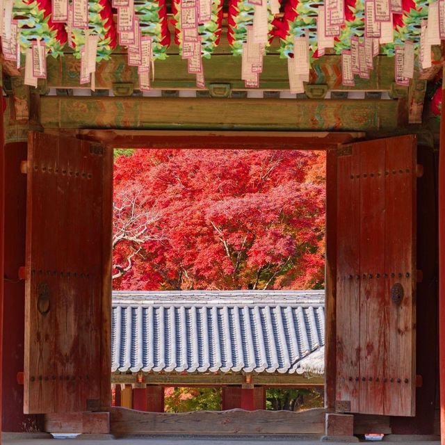 Beautiful autumn view of Bulguksa Temple
