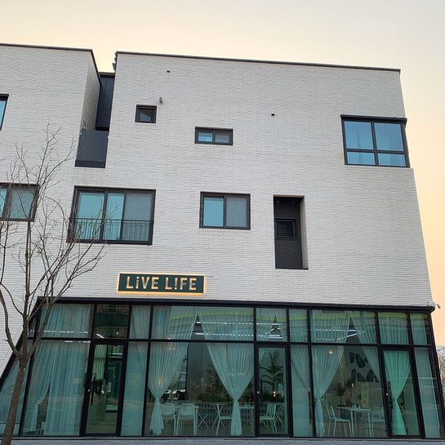 동탄 카페추천 “라이브라이프”💚