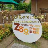 キリンを上からも下からも観察できる　京都市動物園