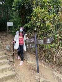 香港新手行山🍀茅坪藤皇+竹林隧道路線