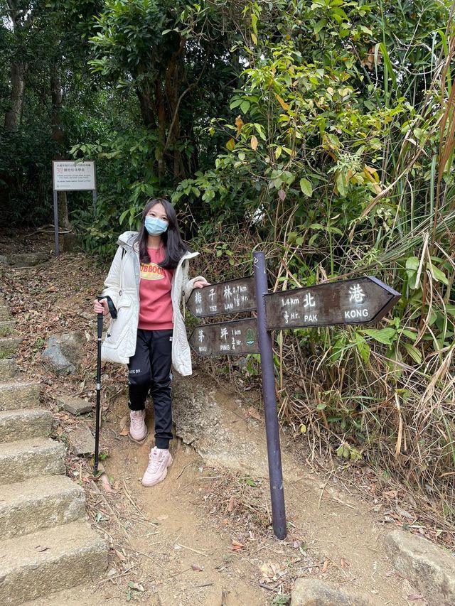 香港新手行山🍀茅坪藤皇+竹林隧道路線
