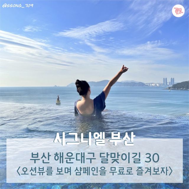 여행카드뉴스로 보는 뚜벅이 부산 2박 3일 코스
