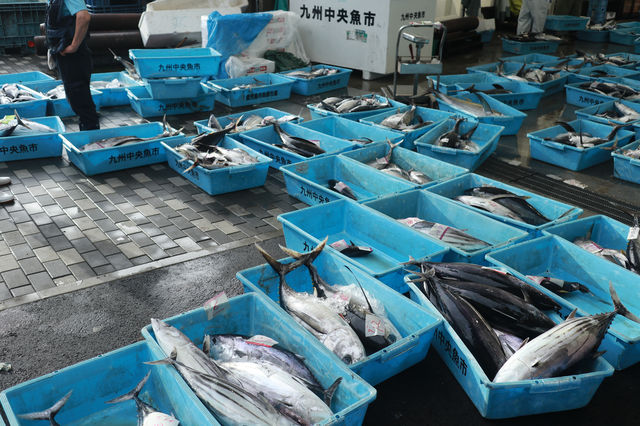 魚市場遊記