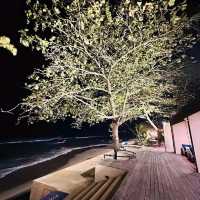 คาเฟ่ ร้านอาหารอร่อย ริมทะเล ที่ขนอม ต้องมา