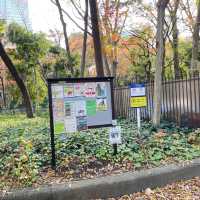 Huge park in Shinjuku 