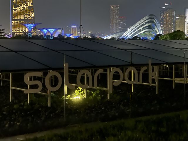 Best Night View of the Singapore Skyline