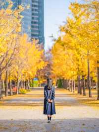 가을 여행코스 총정리.zip 🍁