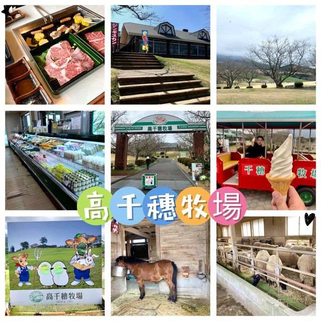 高千穗牧場-必去親子景點，讓小孩子近距離接觸小動物