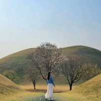 ๐ธ ๊ฒฝ์ฃผ "๋๋ฆ์"์ ์ง๊ธ ๋ฒ๊ฝ ๋ง๊ฐ๐ธ