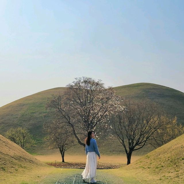 ๐ธ ๊ฒฝ์ฃผ "๋๋ฆ์"์ ์ง๊ธ ๋ฒ๊ฝ ๋ง๊ฐ๐ธ ๐ธ ๊ฒฝ์ฃผ "๋๋ฆ์"์ ์ง๊ธ ๋ฒ๊ฝ ๋ง๊ฐ๐ธ