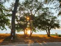 แอท ซี  Cafe@sea หาดสอ 