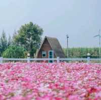 บ้านไร่นายรุ่ง